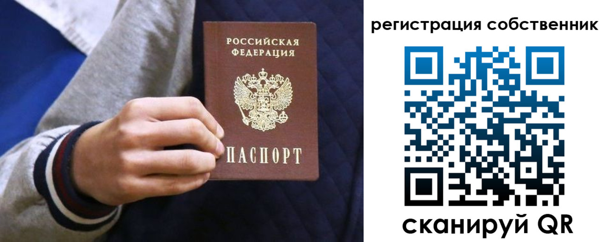 прописка поиск в Ржеве